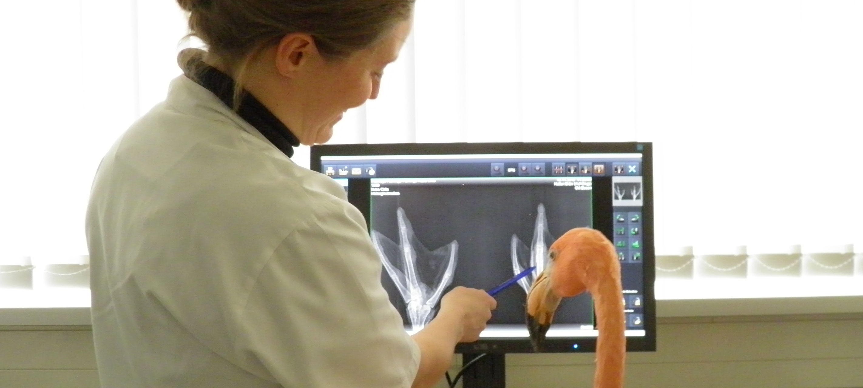 Wandern in Essen: Tag der Steige ist am 5. April