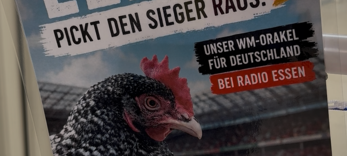 Fußball-WM-Orakel in Essen: Dicke Henne Elke sagt Spielausgang voraus
