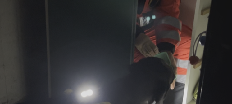 Traumjobs in Essen - Arbeiten mit einer Rettungshundestaffel