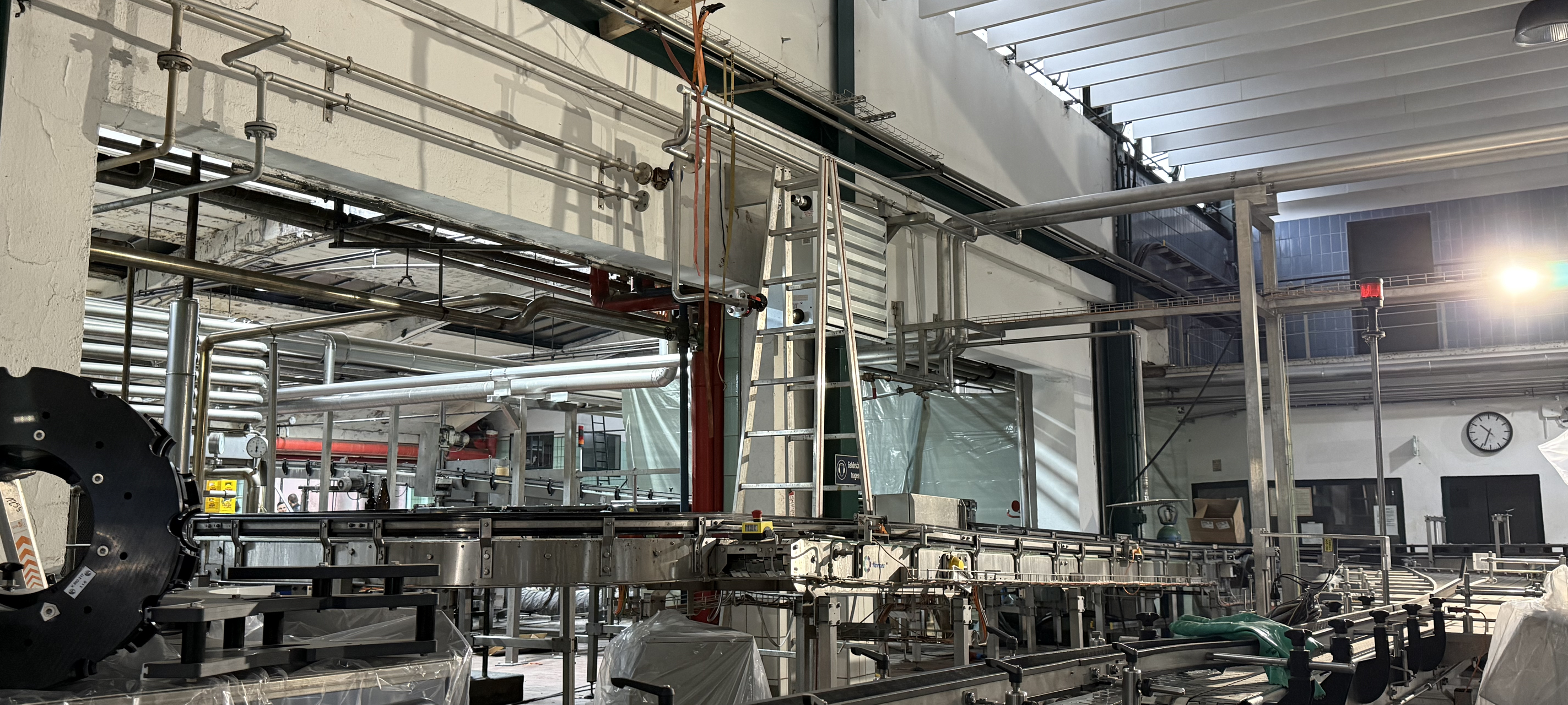 Brauerei aus Essen trotzt der Bierkrise