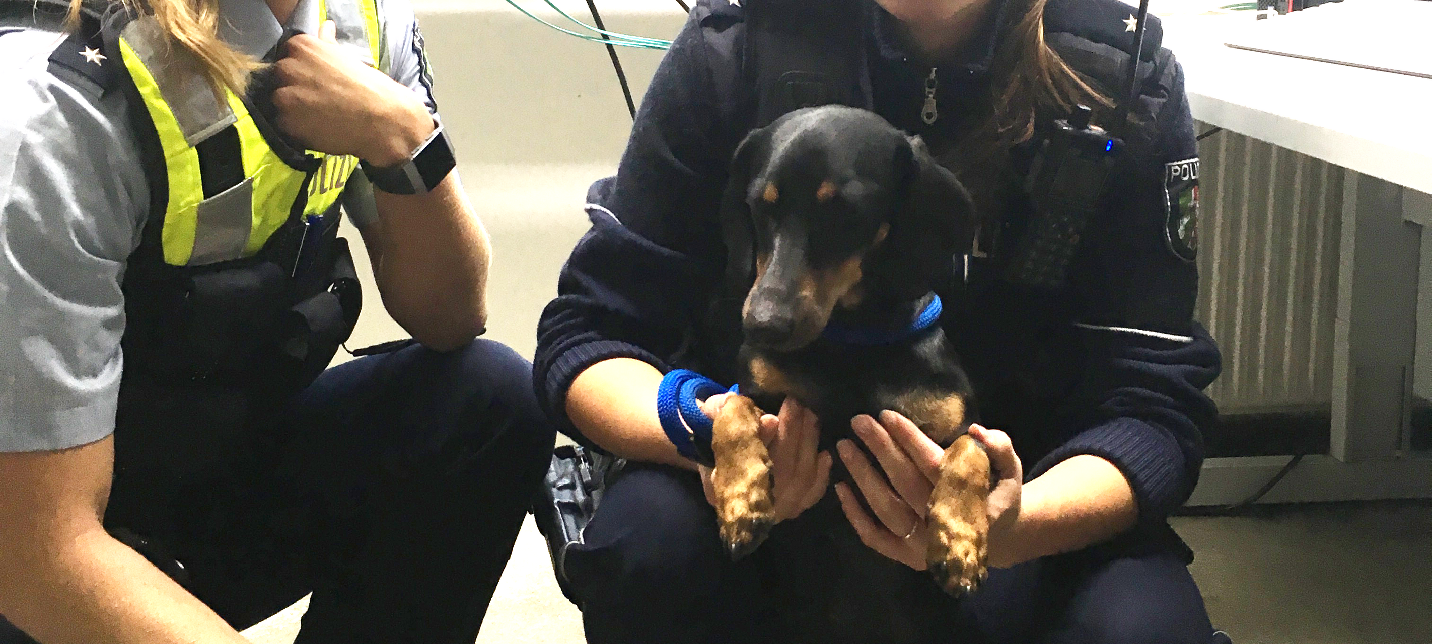 Dackel Kettwig Polizistin