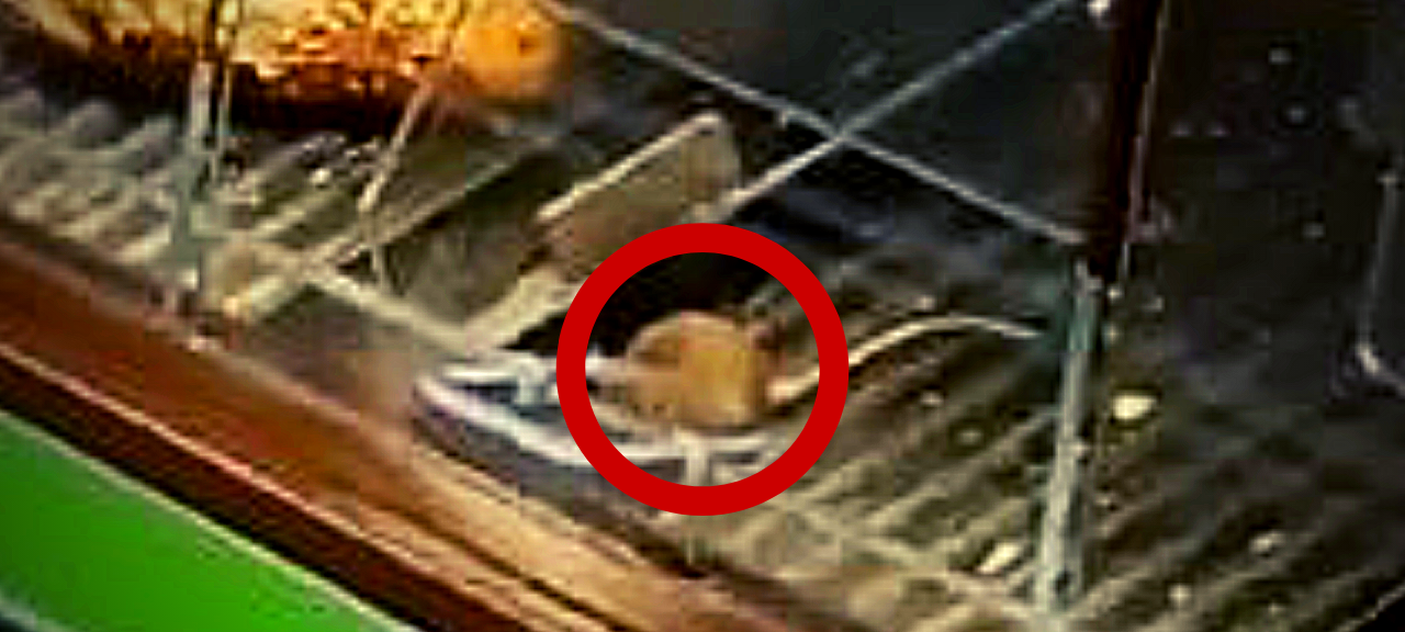 In einer Netto-Filiale in Essen-Freisenbruch wurde eine Maus im Brot-Regal gefilmt.