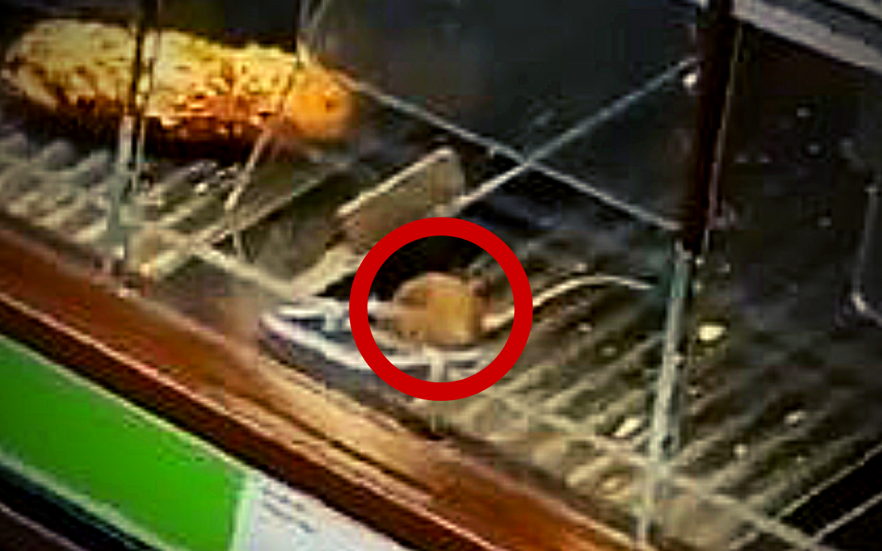 In einer Netto-Filiale in Essen-Freisenbruch wurde eine Maus im Brot-Regal gefilmt.