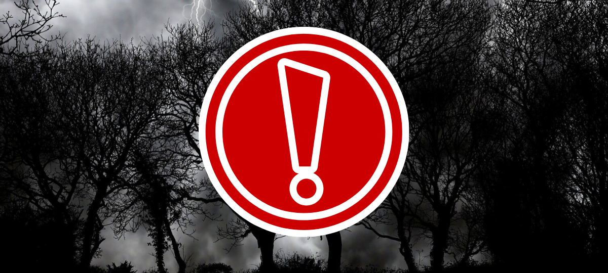 Sturm-Nacht in Essen - dunkle Bäume im Wind mit Ausrufezeichen.