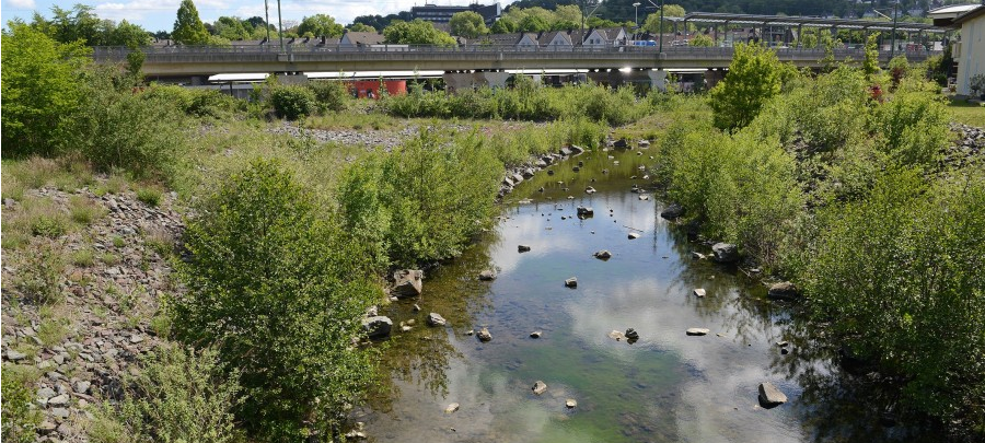 Essen-Kupferdreh: Offenlegung Deilbach beginnt