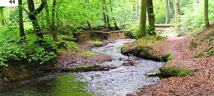 Schutz vor Hochwasser in Essen: Bach wird umgestaltet