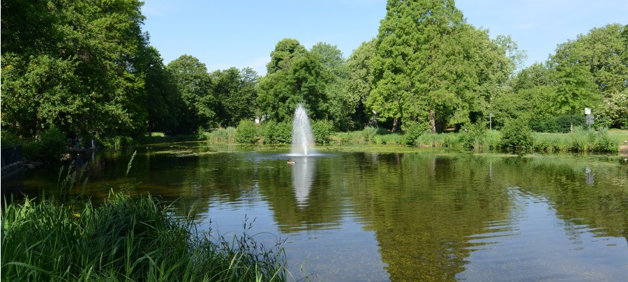 Kaiser-Wilhelm-Park in Essen-Altenessen
