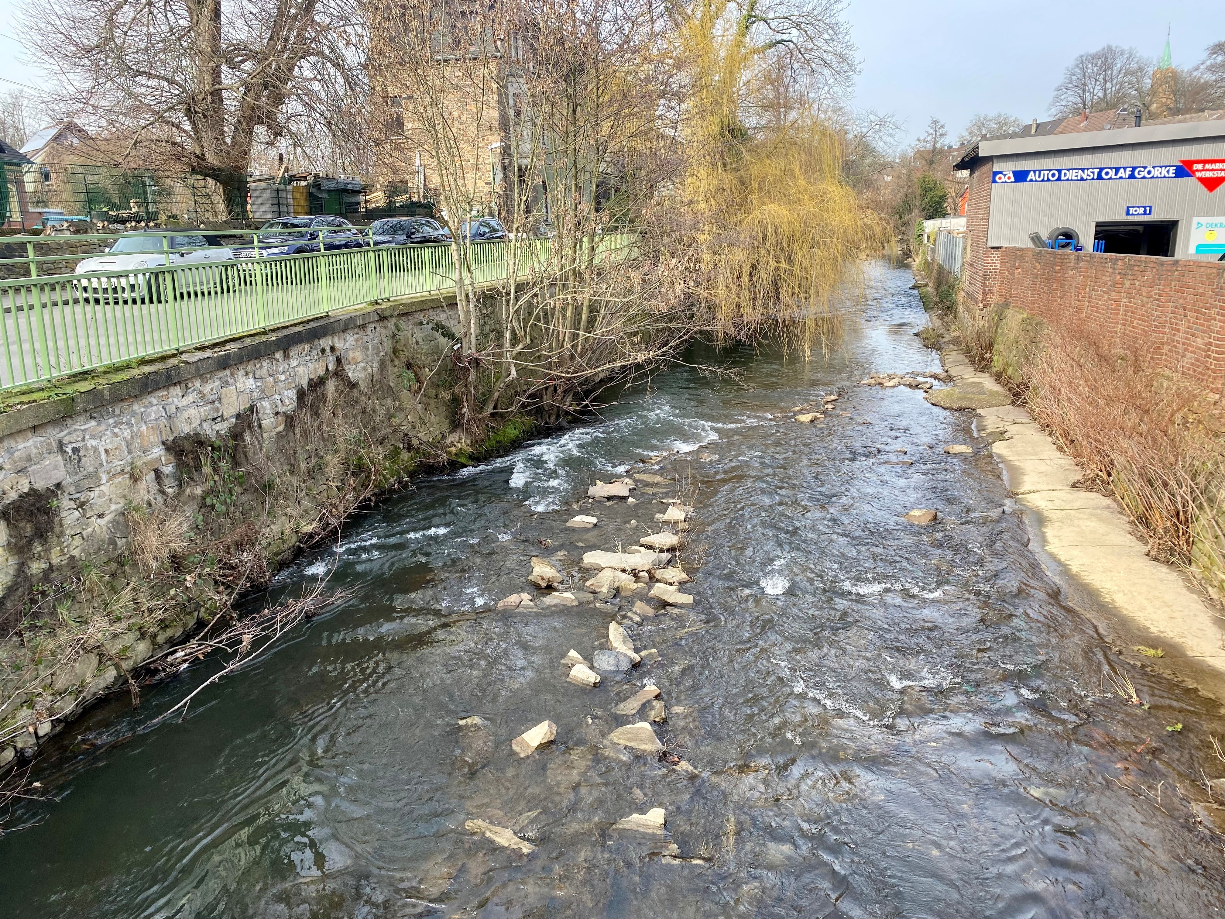 Der Deilbach nach dem Gülle-Austritt in Velbert