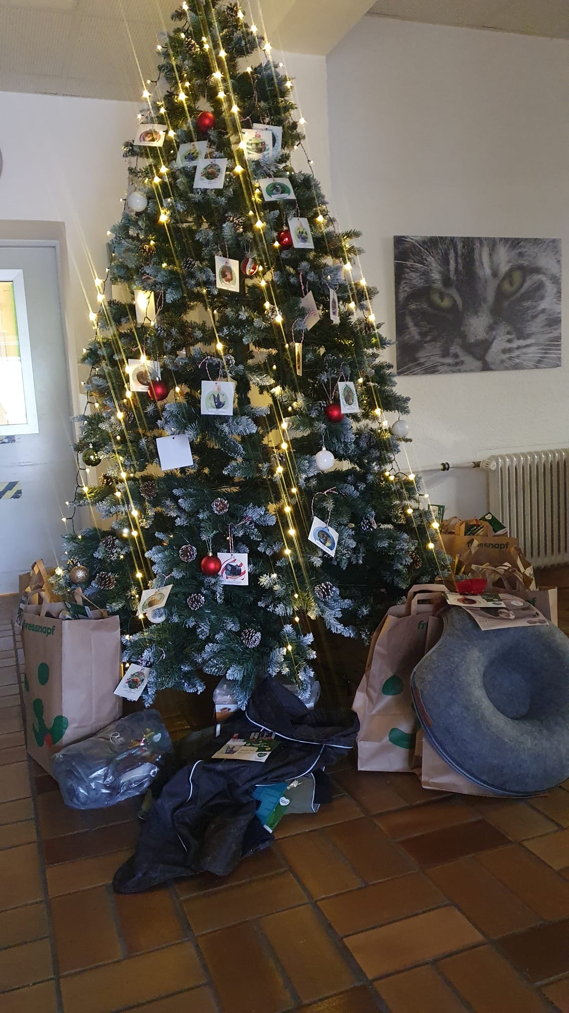 Weihnachtsbaum für Tiere in Essen