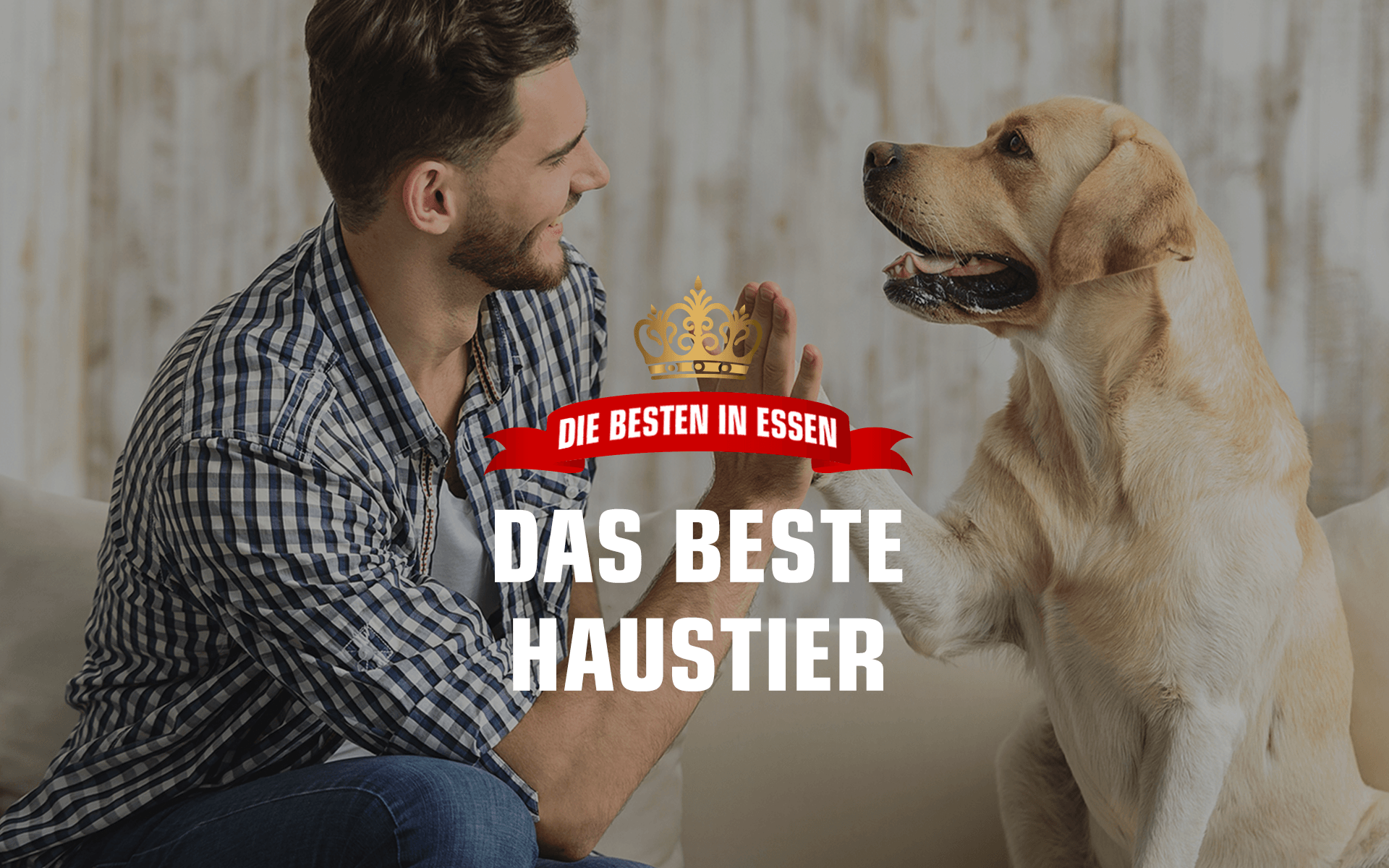 Radio Essen sucht das beste Haustier mit der Aktion 'Die Besten in Essen'.